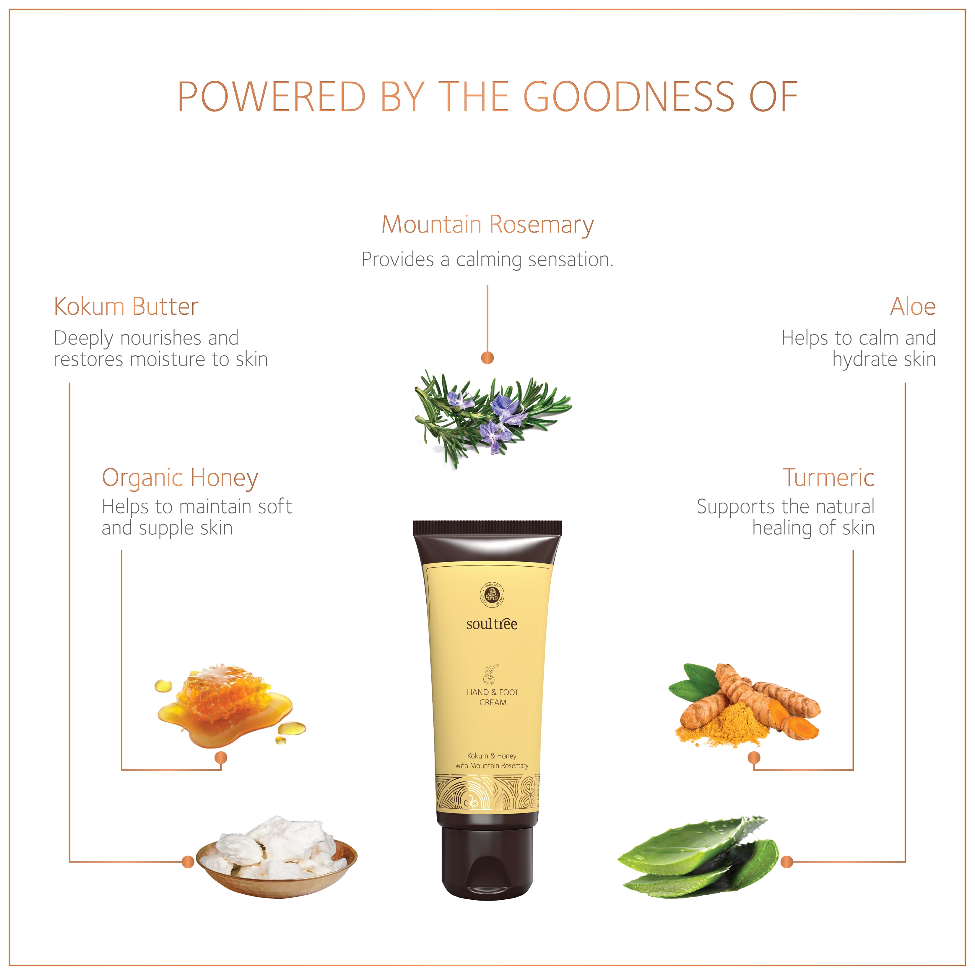 Hand & Foot Cream - Kokum & Honey with Mountain Rosemary