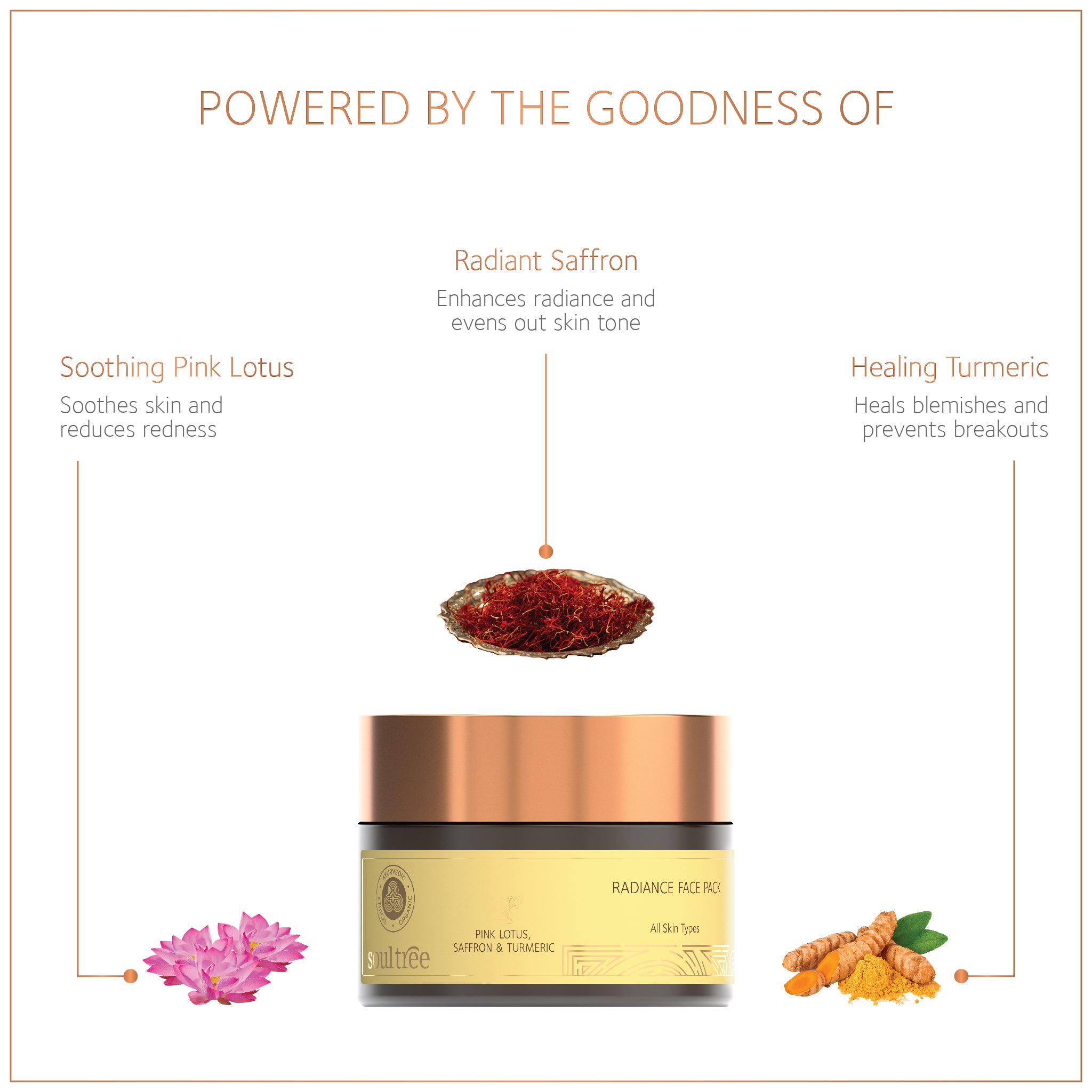 Radiance Face Pack – Pink Lotus, Saffron & Turmeric